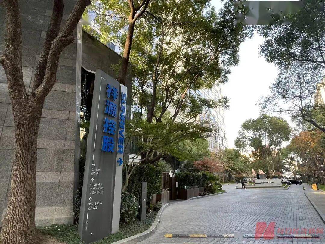 浙金中心爆雷:祥源系多地项目几近停工 背后浙商大佬陷危机(图8)