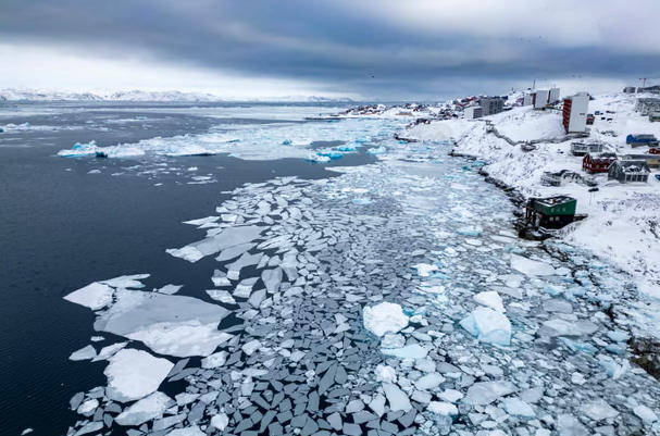 北极地表气温创125年最高值，北极熊发生基因突变：激活“跳跃基因”对抗海冰融化