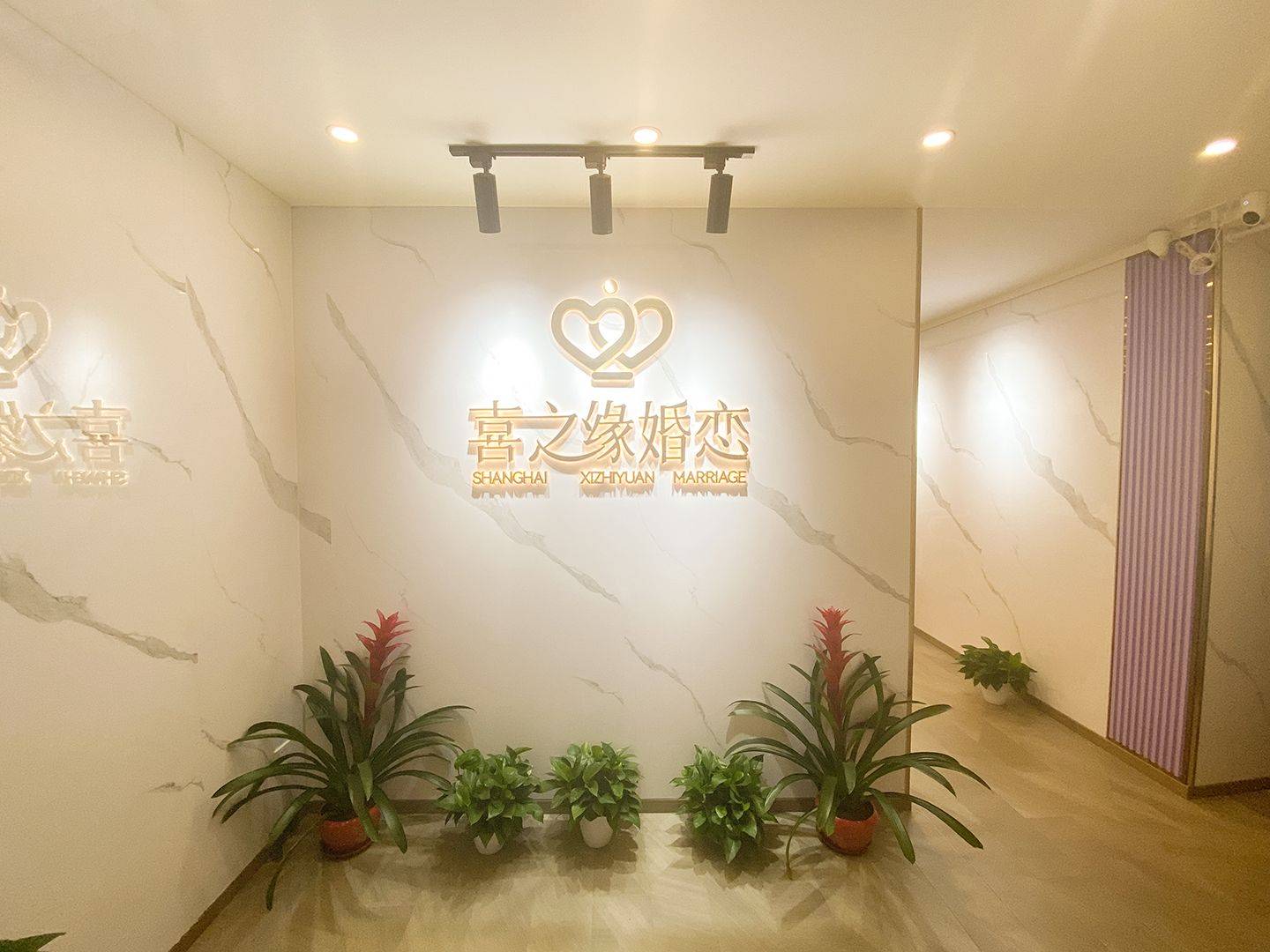 上海找对象平台排名及选购指南,喜之缘婚介所脱颖而出