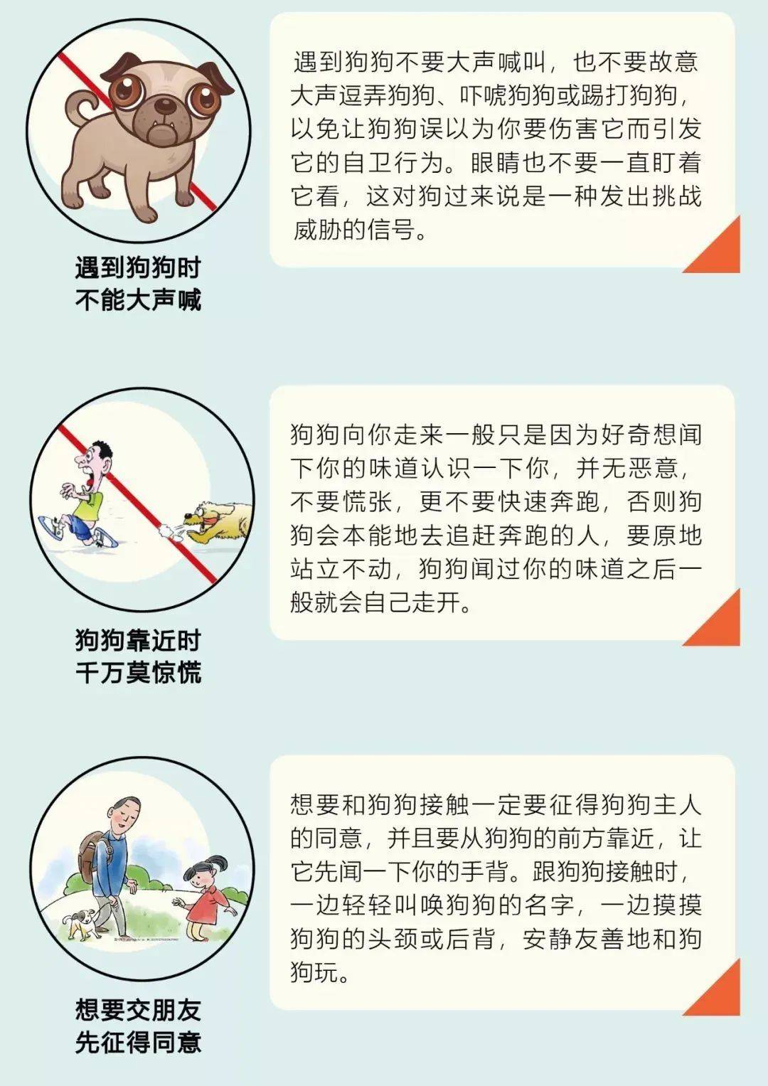 @伊春养犬人 爱与责任共担当