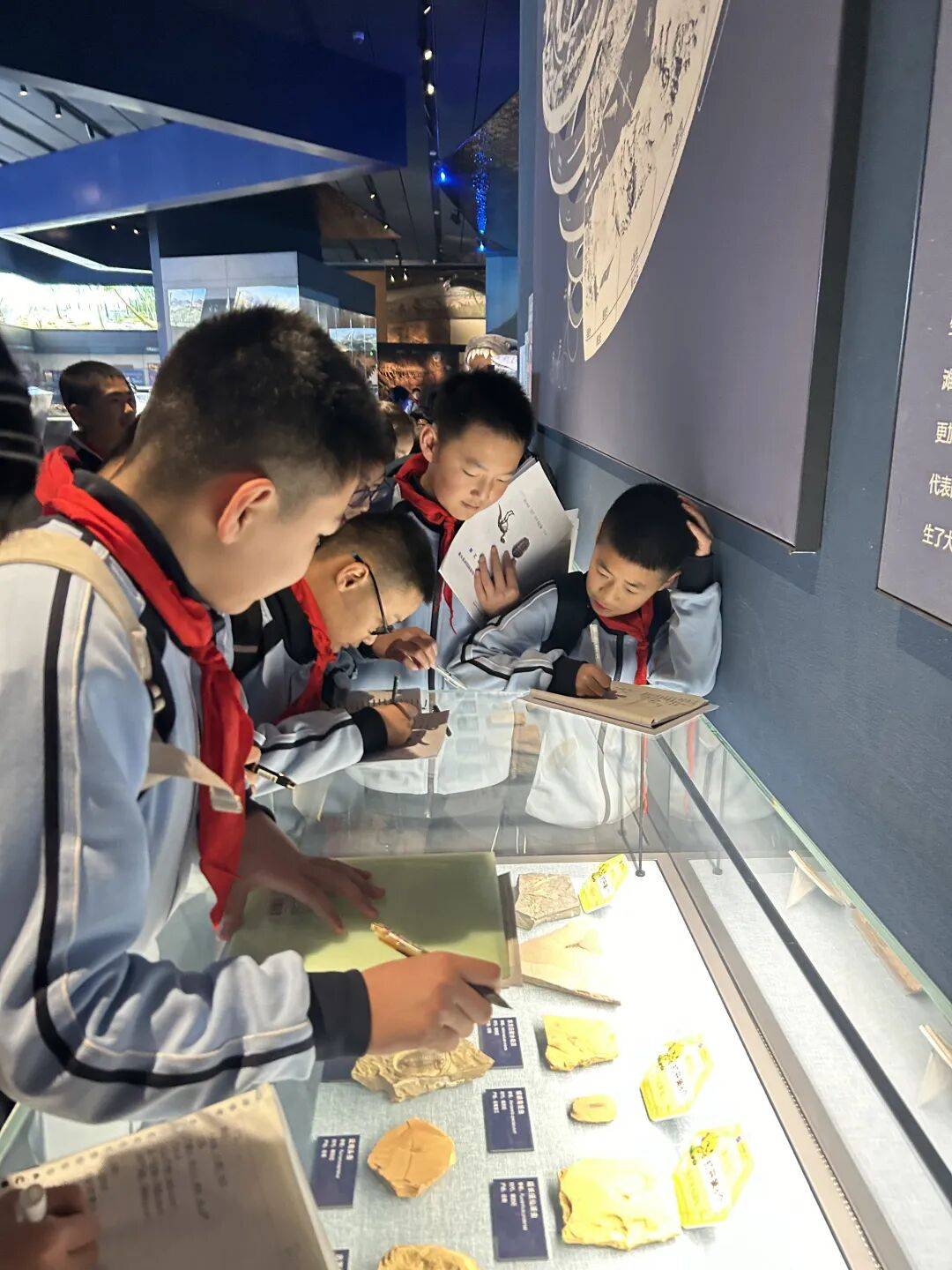 保定十七中开展走进保定自然博物馆研学活动