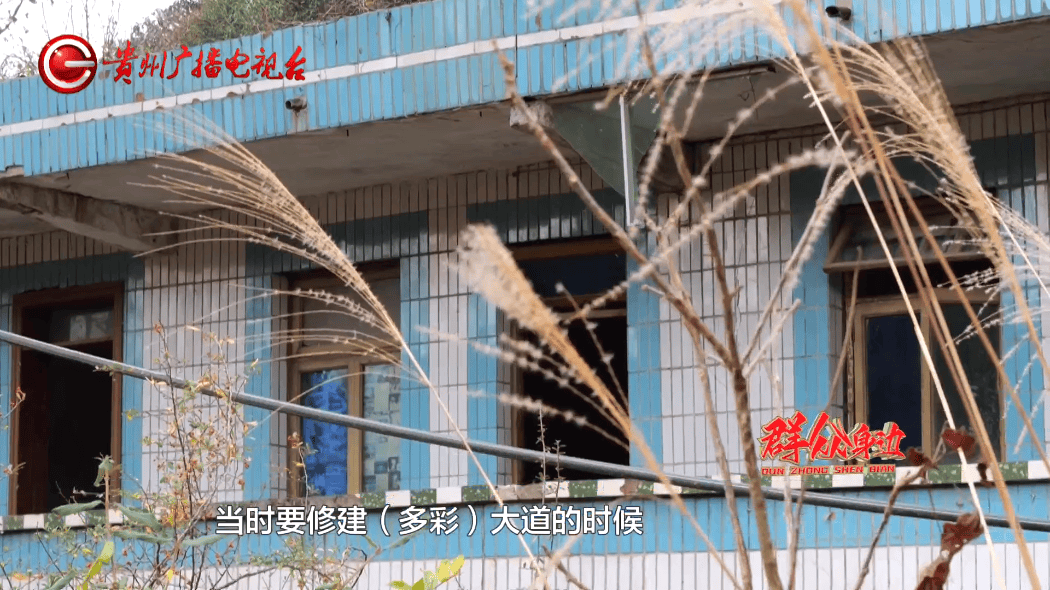 拿下法拍土地却被迫荒废近十年:男子直呼"买个母鸡不下蛋"(图2)