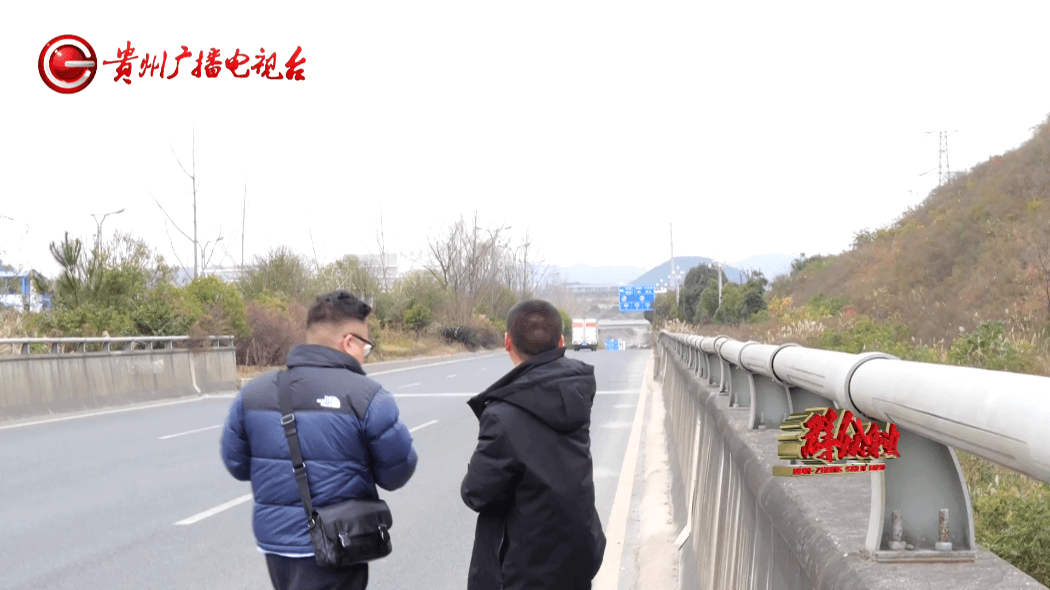 拿下法拍土地却被迫荒废近十年:男子直呼"买个母鸡不下蛋"(图5)