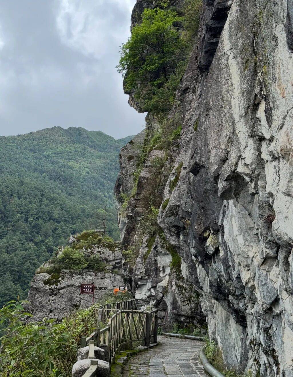 男子在大理苍山观光步道外疑自缢身亡，官方回应