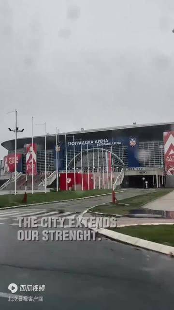 李月汝官宣在塞尔维亚组建球队