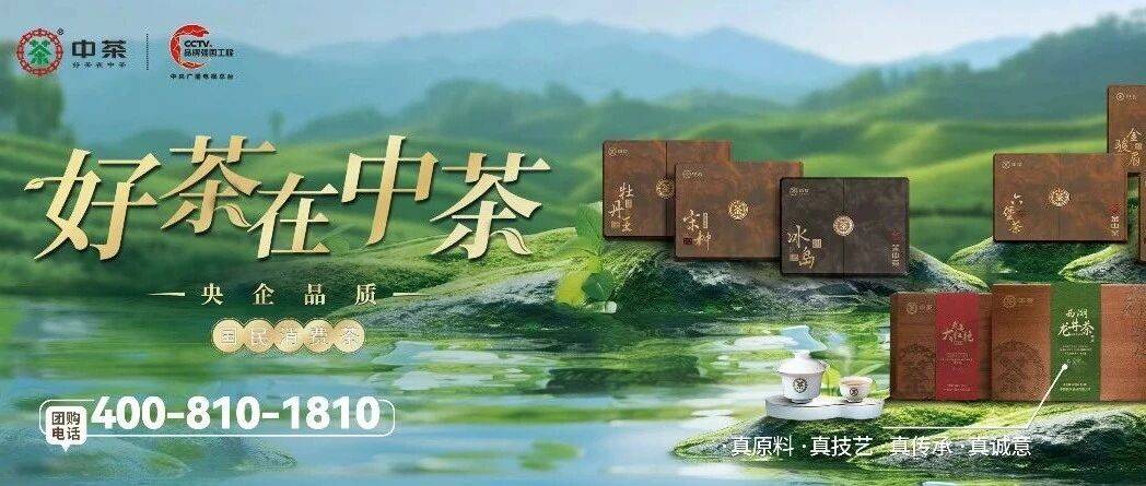 中茶：岁启新气象 改革促新篇 中茶奋进向未来_公司_业务_属地