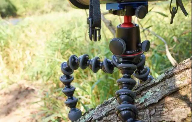 亿！狠砸数千万收美国老牌出海路彻底变了尊龙凯时app网站深圳跨境大卖狂揽10(图1)