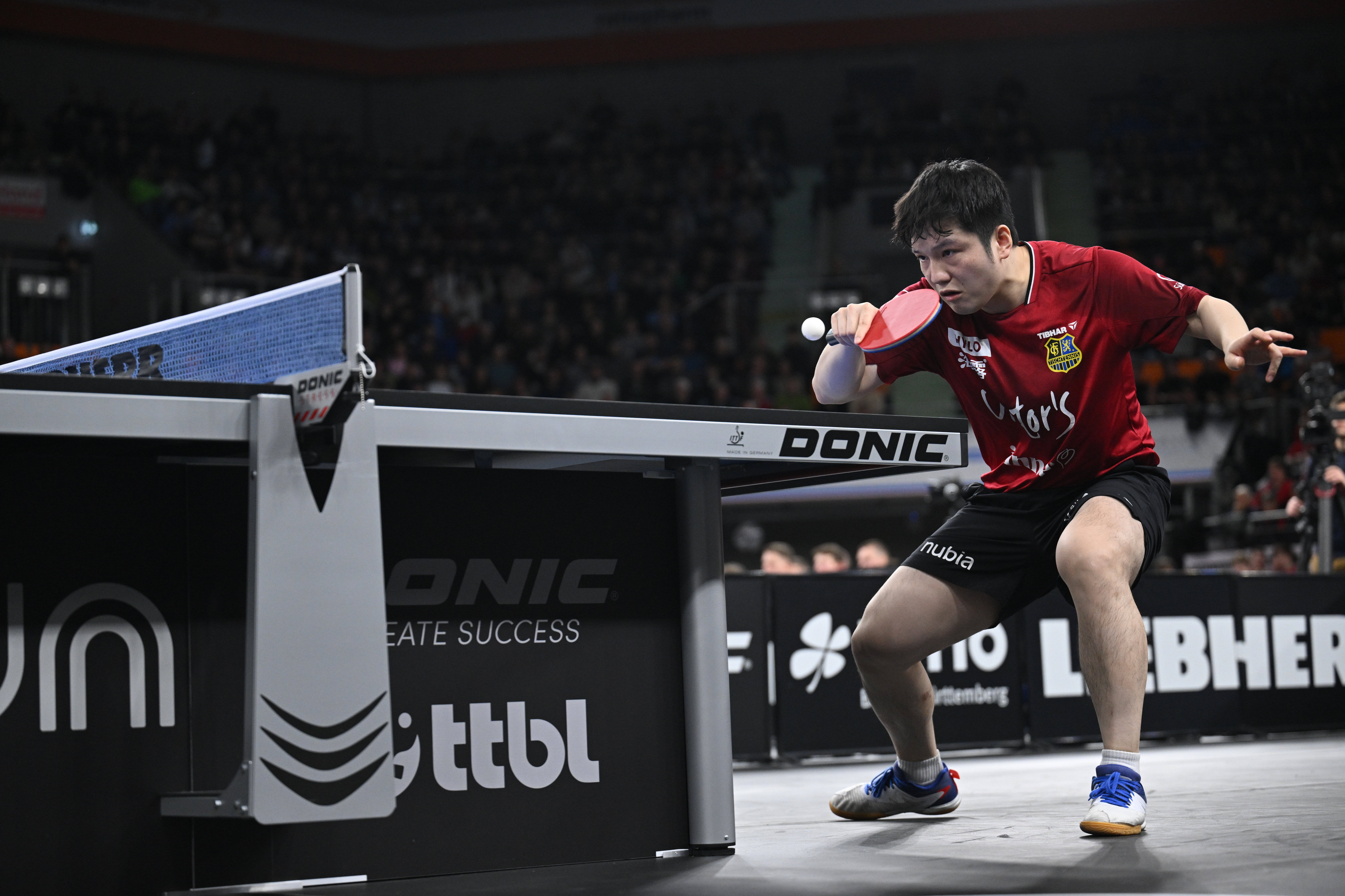 —樊振东率队晋级德国杯决赛