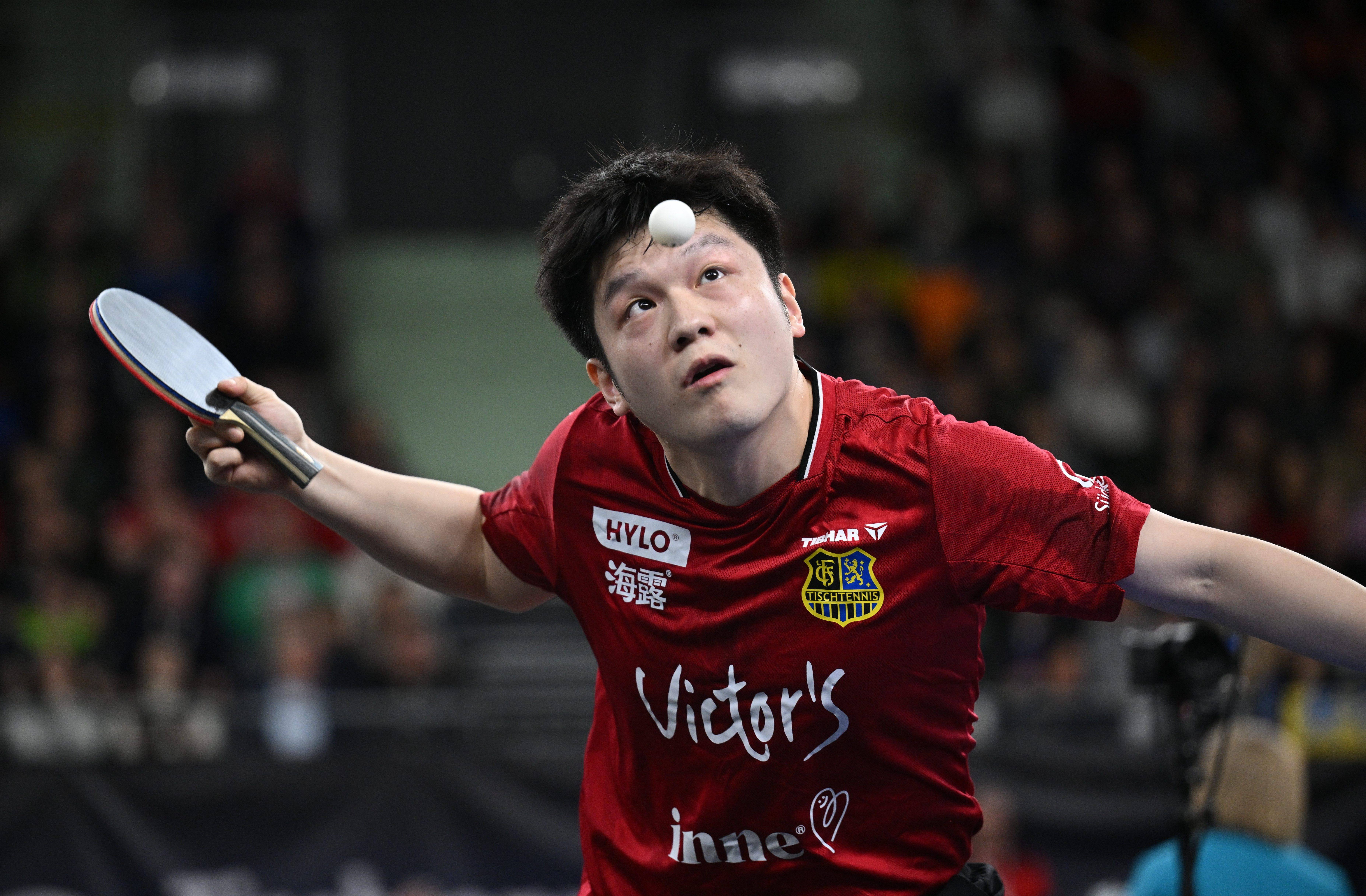 —樊振东率队晋级德国杯决赛