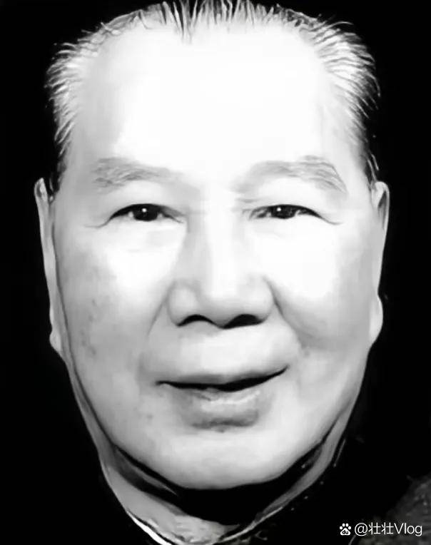 “打仗靠老百姓,现在让工人自己找出路,我不同意!”就这句话,一个白发苍苍的老将军,拍着桌子说的。会议室里茶杯盖还在颤,杨成武已经站起来了。83 ...