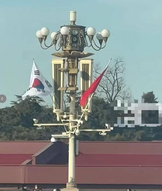 于晓光做梦没想到，韩国总统访华仅3天，46岁秋瓷炫竟意外火出圈