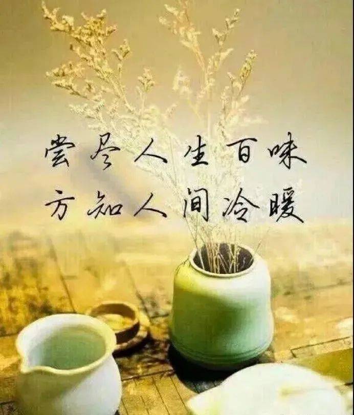 一段话,写尽人生!_一生_路都得_命中