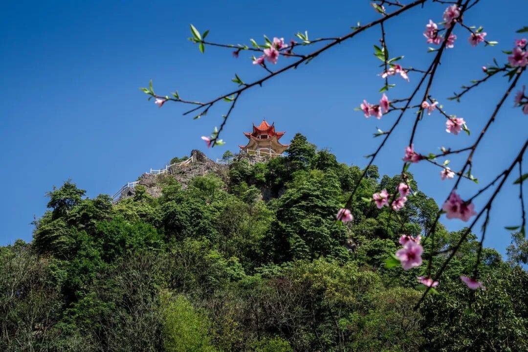 天等县天等镇入选2025年度"美丽中国·深呼吸小城/乡镇"