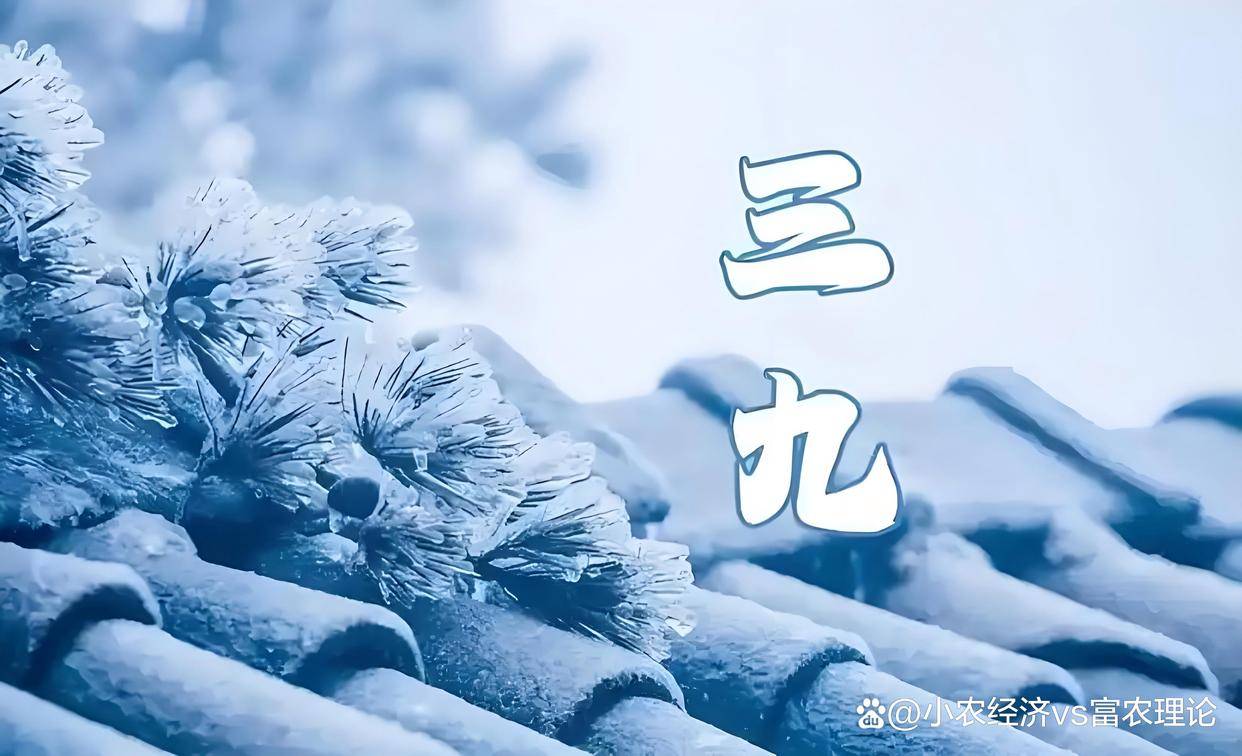 “三九早看天,不用问神仙”,今日三九,今年雨雪多吗?答案来了_天气_冷空气_农历