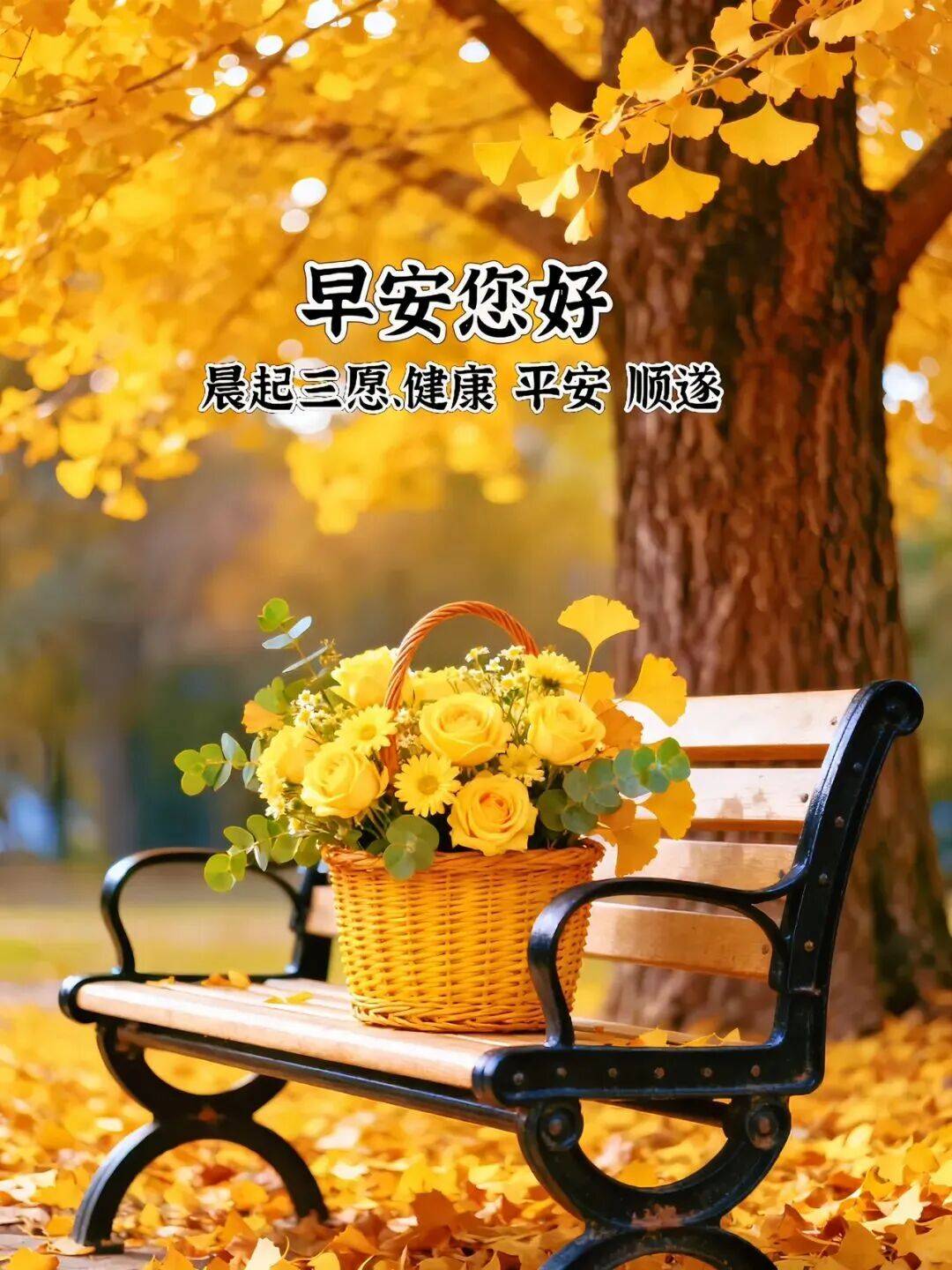 早上好,新的一天,愿我们都开心、快乐、健康、平安!_乐哇_事事_心情