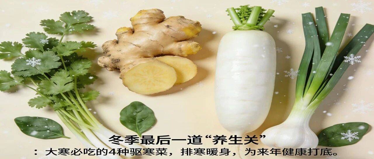 冬季最后一道“养生关”：大寒必吃的4种驱寒菜，排寒暖身，为来年健康打底~_寒气_香菜_蒜苗