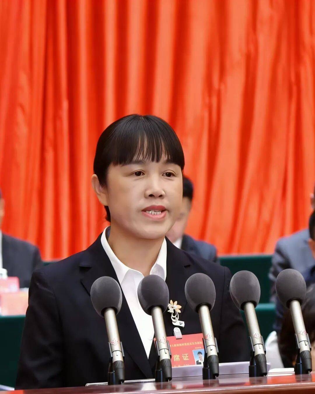 黄秀琳委员代表民进市委会发言做好一老一小民生保障1月14日下午市