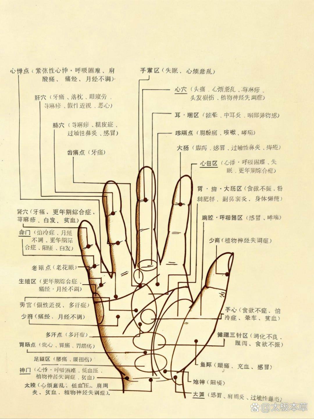 手穴图||大家可以对照自己的手掌手背!寻找对应的穴位。空闲时间按摩掐按都可以!#健康养生#