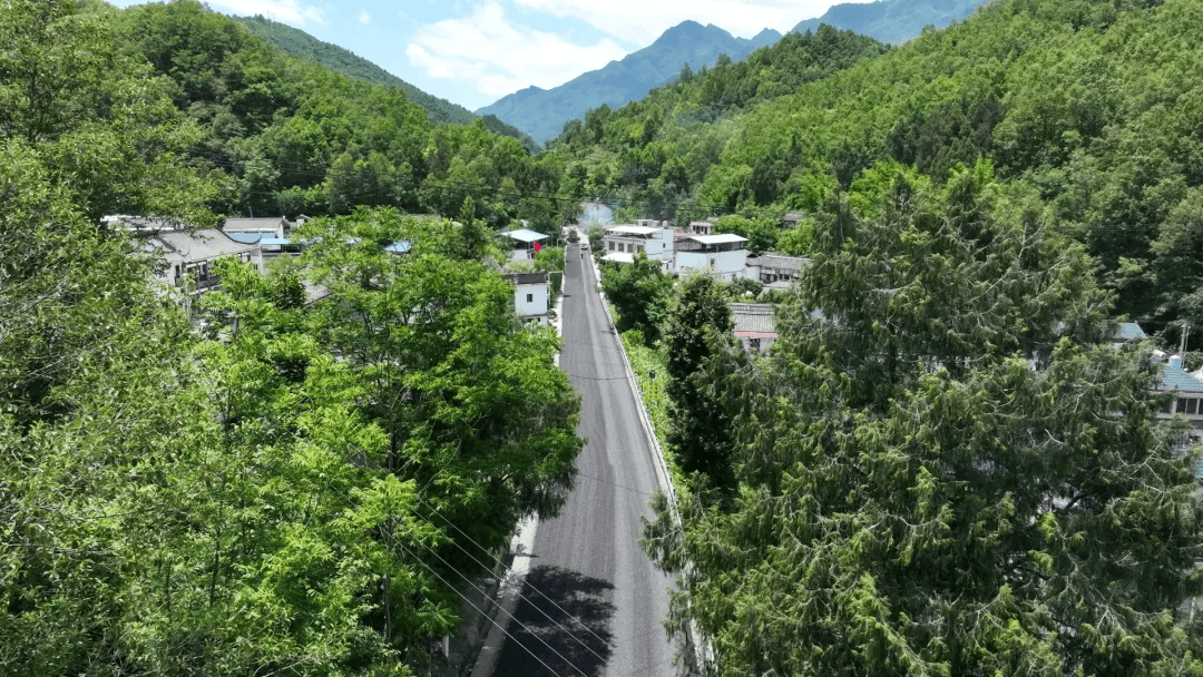 答卷·2025 陇南：实干笃行保畅通 养护赋能启华章——碧口公路段2025年养护工作纪实