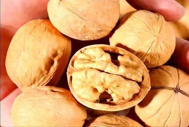 年过70不能吃核桃？医生直言：不想住进医院，4种坚果尽量少吃