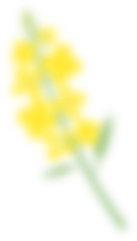 寒假专辑-超星精品新书速递