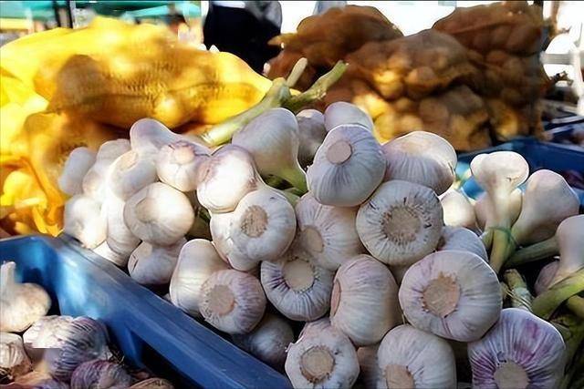 大蒜再次被关注！医生发现：癌症患者吃大蒜，不过多久或有4益处