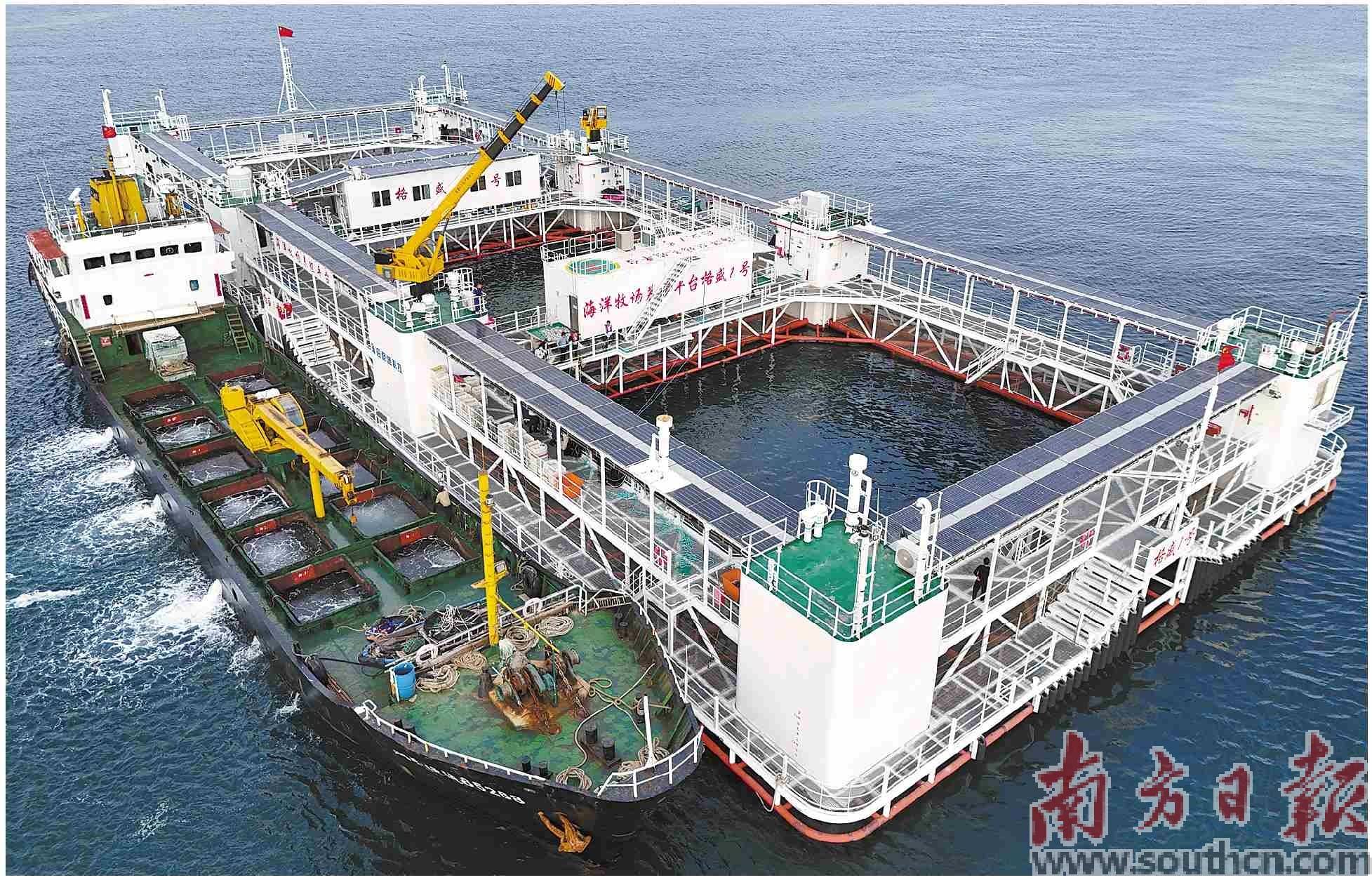 在深远海建起“蓝色粮仓”_养殖_平台_能源所