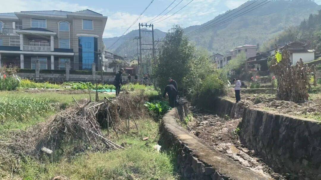 盘点2025丨乡村振兴绘新卷——游洋镇乡村振兴项目建设侧记_文化_龙山村_兴村
