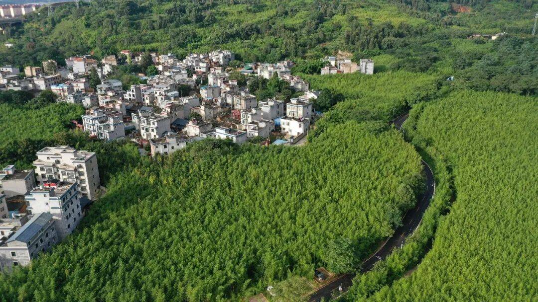 嵩明县“沉睡”资产巧盘活 农民“四项收入