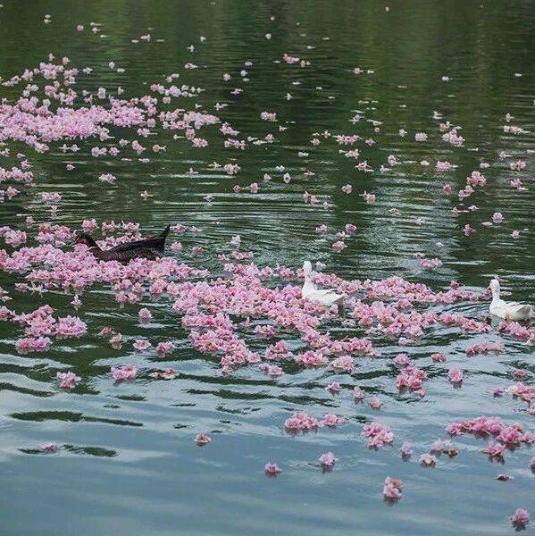 生活禅 | 世界很大,我们很小_摄影_大自然_期望