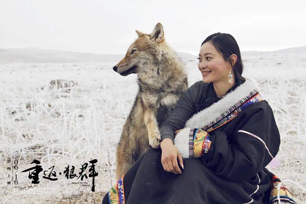 《重返·狼群》自由比活着更重要_格林_草原_成功
