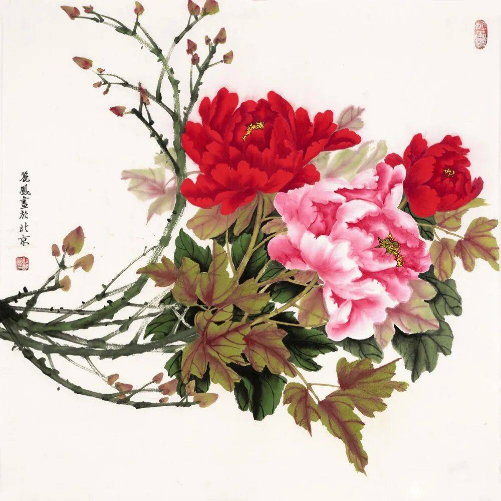 国画牡丹32图_水墨_杨丽凤_北京