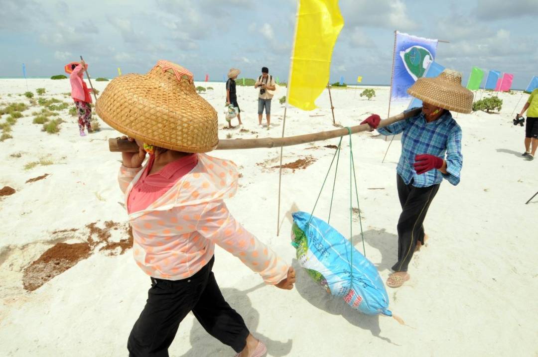 中国人种树到底有多厉害？ 图7