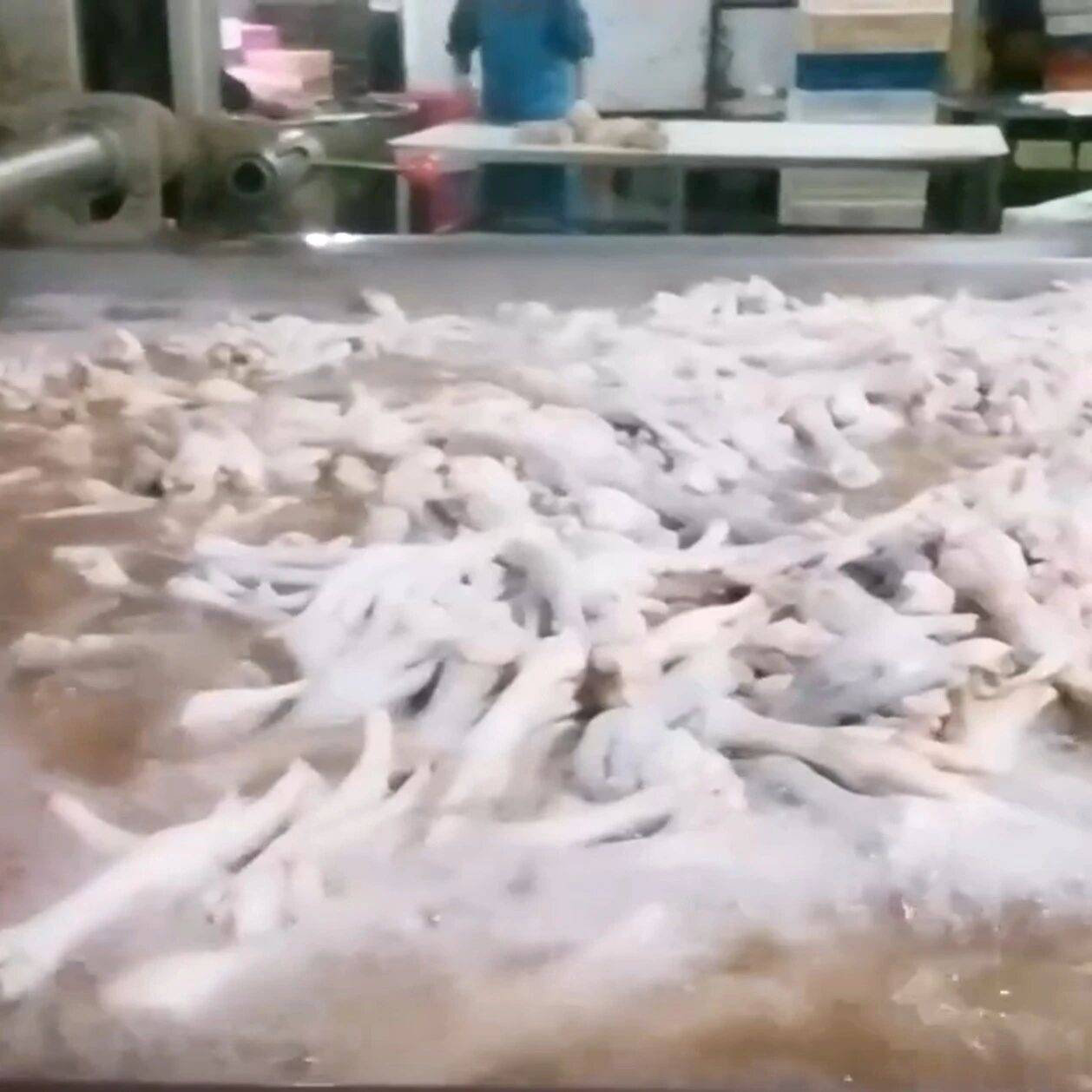 多知名鸡爪品牌声明称不用双氧水,专家:“惨白色”产品须警惕_过氧化氢_食品_生产