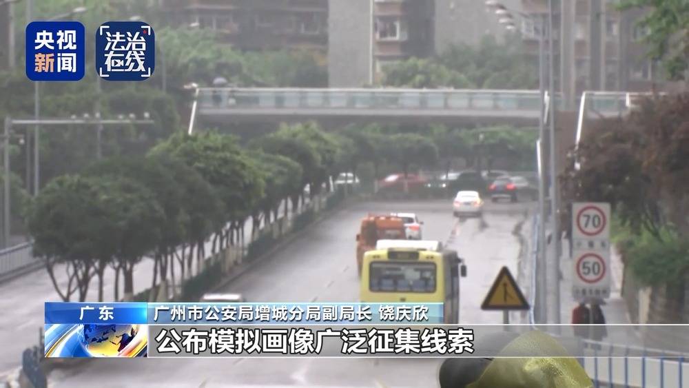 法治在线丨“梅姨”如何落网?何时公布照片?警方披露案件侦办细节