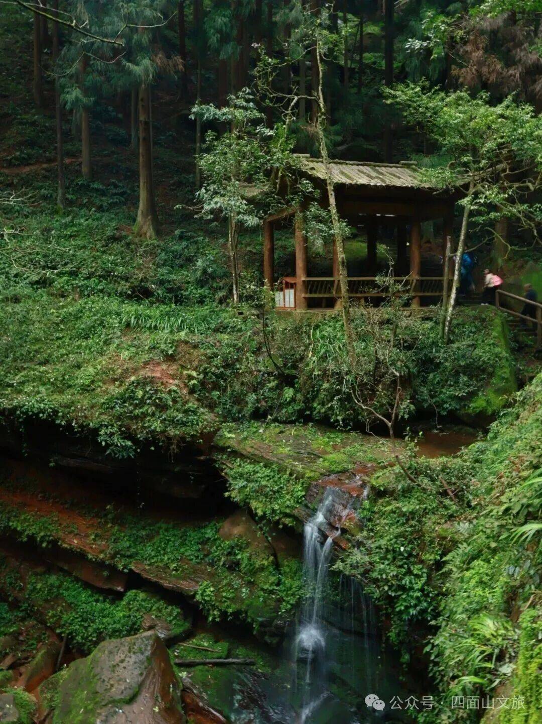 来江津看渝超凭球赛门票领四面山双重免费福利