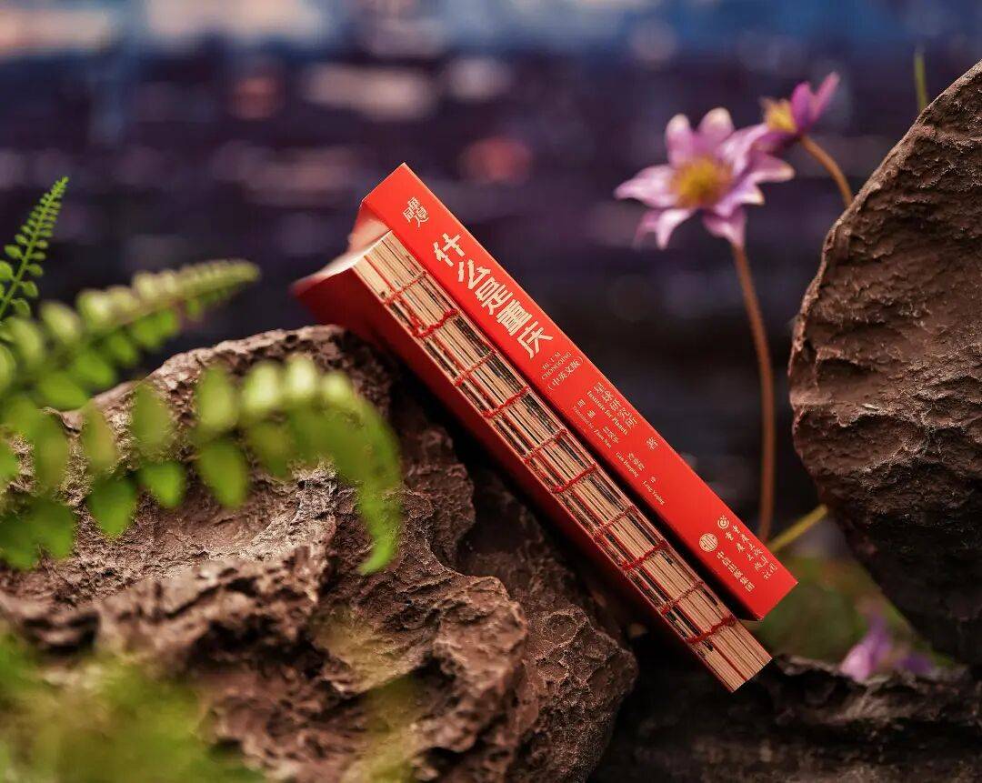 图片[6]-为何它能成为China Travel的下一站？-华闻时空