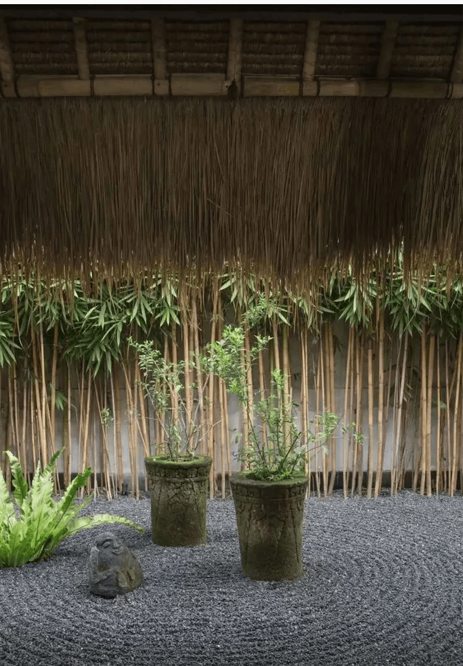 寻一处农家小院,悠然到老_生活_院子_宁静