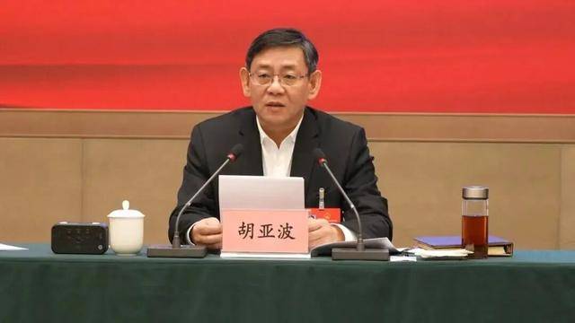 胡亚波任湖北省副省长_市委书记_天门_会议