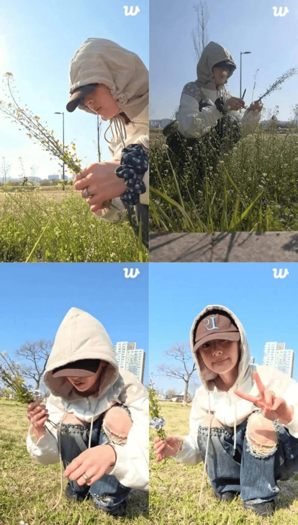 江边的野花不能采！知名女团成员为此道歉插图1