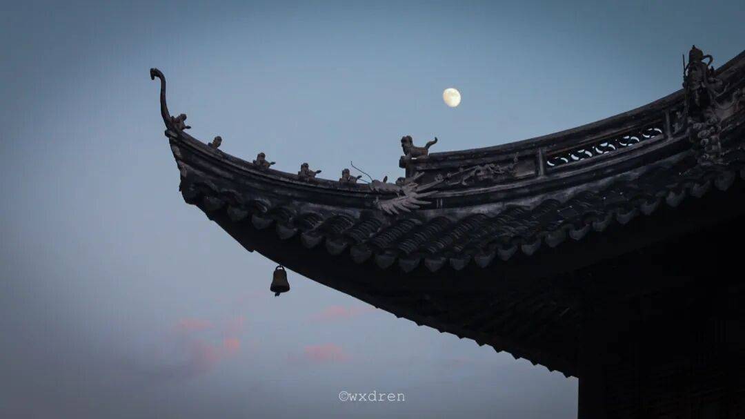 竹窗故事丨学了这么久,为何还是见不到佛菩萨?_众生_莲池_随笔