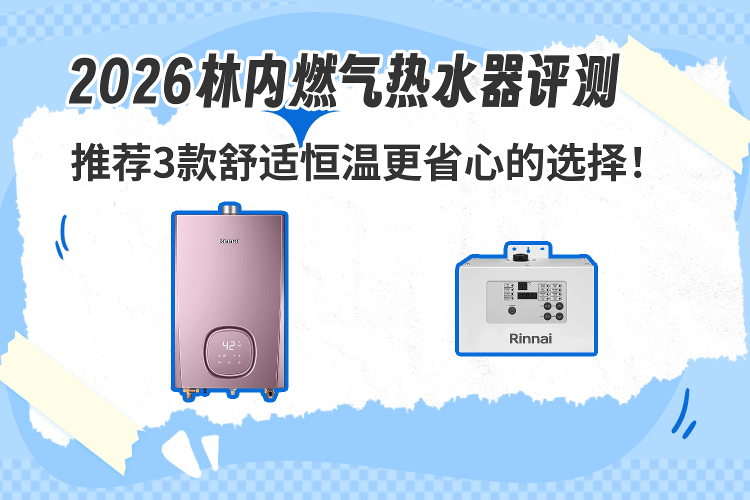 林内燃气热水器产品实拍图