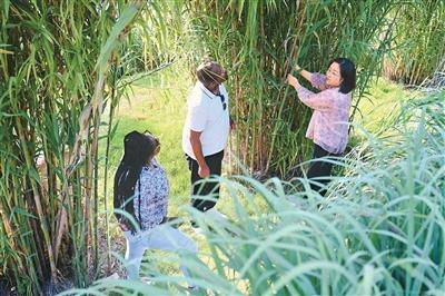 乐鱼体育- 乐鱼体育官网- APP世界杯指定平台留学中国的多彩时光