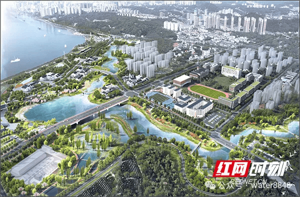 文章配图-18