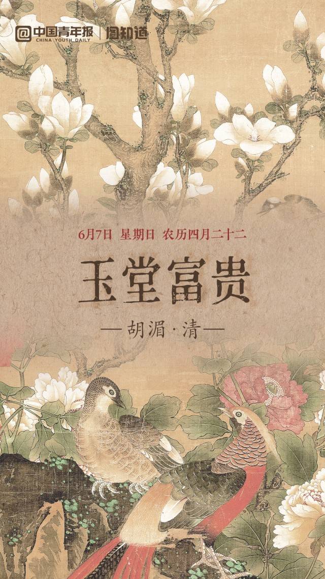 图知道｜《玉堂富贵》：芳菲献瑞 锦上添花