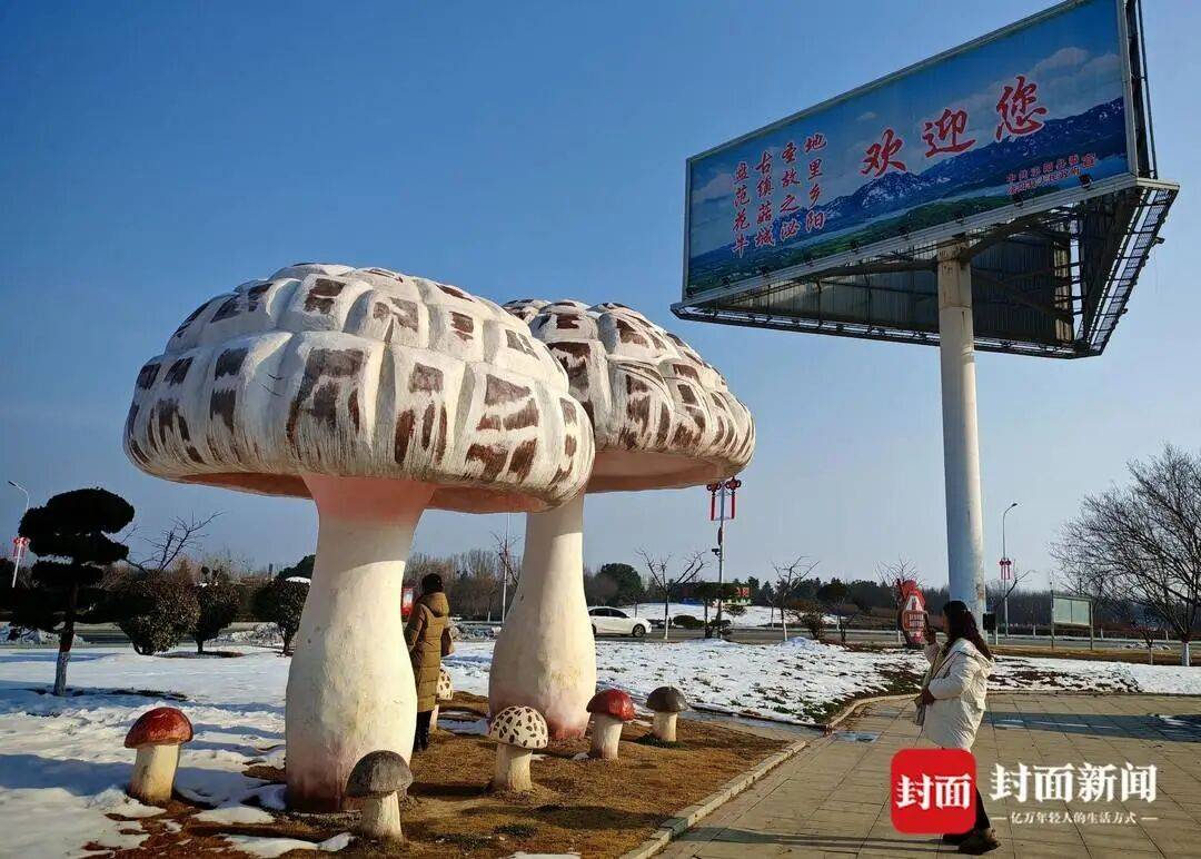 6个月21车冻货偏航泌阳被查扣最新进展 公职人员被立案调查(图10) 文章配图-1