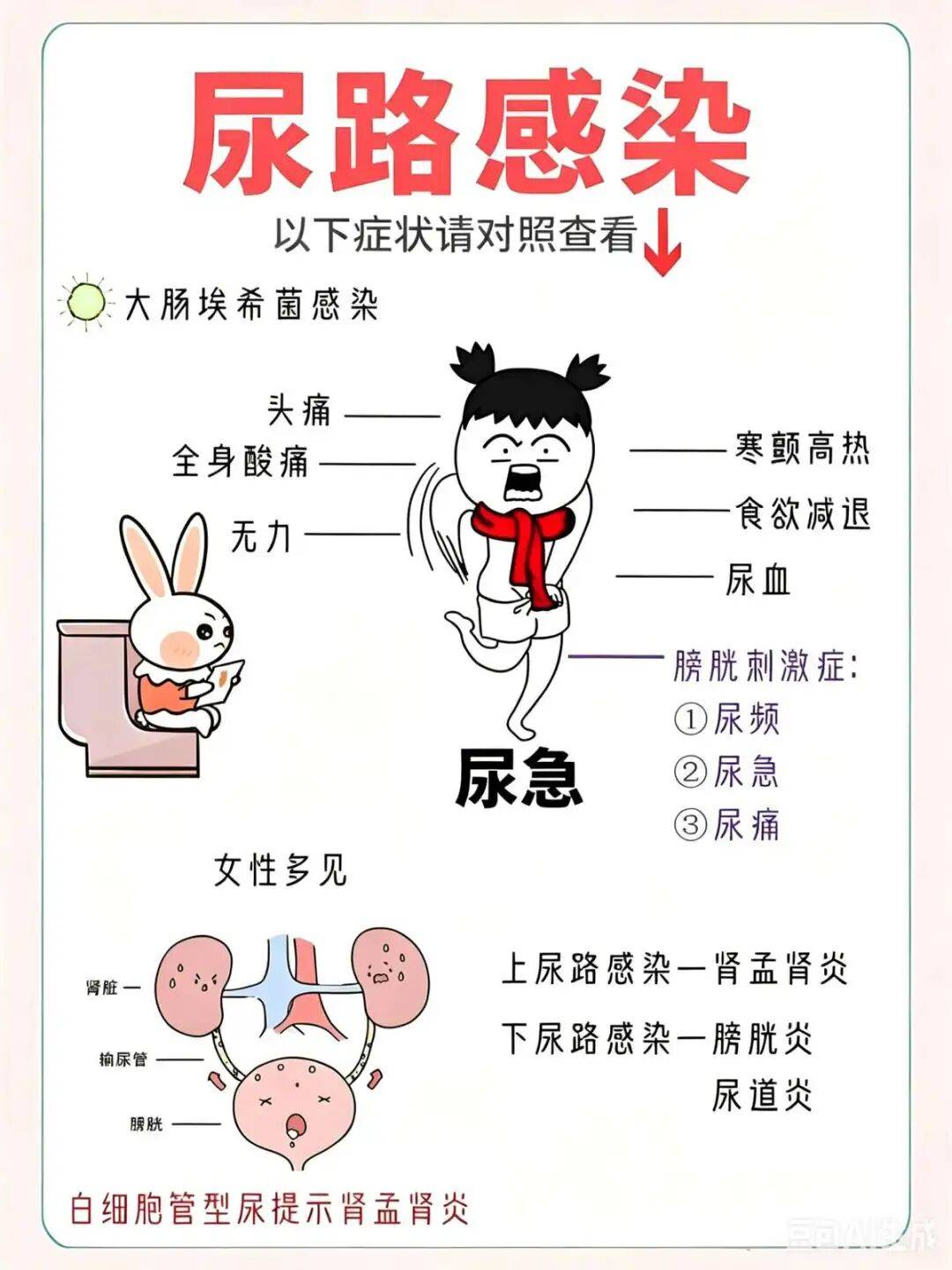 女性健康丨女性必看：尿频、尿急、尿痛别硬扛