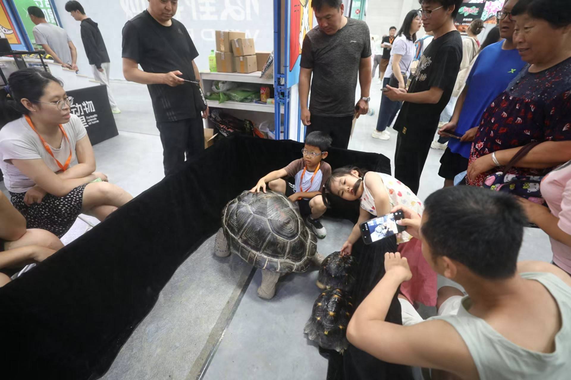 北京世界爬行动物展亮相平谷马坊，1200余珍奇物种集中展出