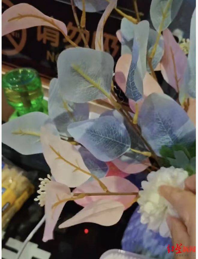 文章配图-1