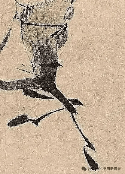 ������ͼ-1